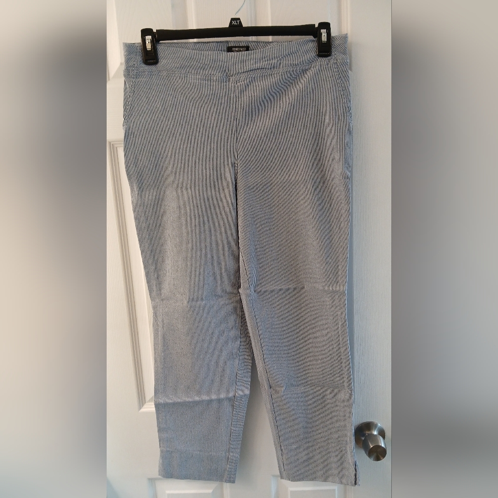 Jones & Co. (Jones New York) Micro‑Stripe Pull‑On Pants – Size 14W – Blue/White